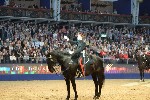 Cavalry - 00300
